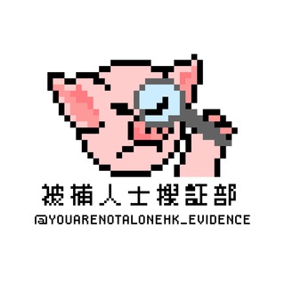 电报频道的标志 youarenotalonehk_evidence — 被捕人士搜證部