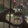 Логотип телеграм канала @yougaymen — Концерт кишлака тут?