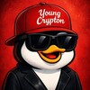 Логотип телеграм канала @young_crypton — YOUNG CRYPTON ALPHA DESK