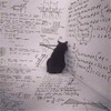 Логотип телеграм канала @young_phyzmath — Записки молодого бауманца