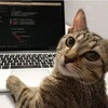 Логотип телеграм канала @yourbusterofficial — 🚀 YourBuster - Отывы на Avito