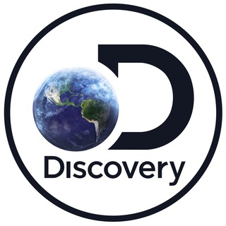 Логотип телеграм канала @yourdiscoveryworld — Discovery World