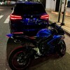 Telegram channel yourlovebby logo