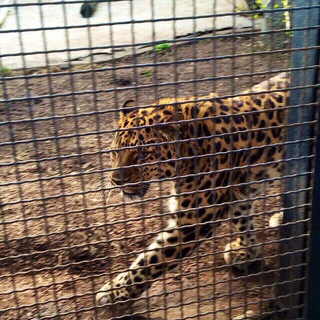 Логотип телеграм канала @yourmoodea — MOOD.E.A. | Музыка