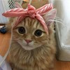 Логотип телеграм канала @yoursoboitemki — Обои и Темки ТГ