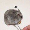 Логотип телеграм канала @yourstrangelove — твои странные любови