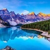 Logo of telegram channel yourtraveller — Traveller