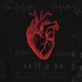 Логотип телеграм -каналу yourvibememorise — Моє серце палає❤️‍🔥