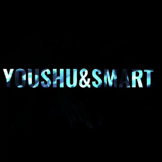 Логотип телеграм канала @youshutd — YOUSHU \/ SMART