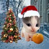 Логотип телеграм канала @youtubewilli — Логово Вильки