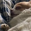 Логотип телеграм канала @yowhoyou — вась)