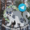 Логотип телеграм канала @yrolcw — 『 🫧🌲』Чⲁύⲏⲁя ⲕⲟⲙⲏⲁⲧⲁ Ⲩⲅⲟⲗьⲕⲁ // 𝐖𝐂 『 🫧🌲 』