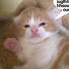 Логотип телеграм канала @ys_meow — ys.