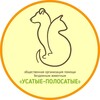 Логотип телеграм канала @ysatie_polosatie — "УСАТЫЕ-ПОЛОСАТЫЕ "- помощь бездомным животным Чувашии