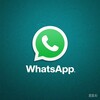 Telegram channel ws群发（WhatsApp群发）、ws蓝标号（WhatsApp蓝标号） logo