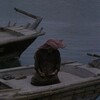 Логотип телеграм канала @yudhakiruna — бесчувствعнный