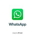 Telegram channel ws 实卡 logo