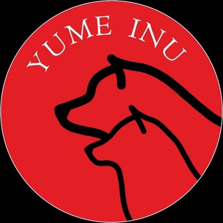 Логотип телеграм канала @yumeinu — Сиба ину щенки