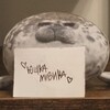 Логотип телеграм канала @yushlsddr — дрисня мивины \ рест