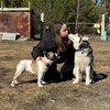 Логотип телеграм канала @yutadanka — Ютусик и не только