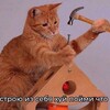 Логотип телеграм канала @yv_bl — Увы