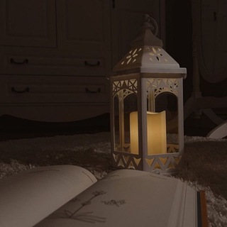 Логотип телеграм канала @yzvezdochka — M O D E S T⚘