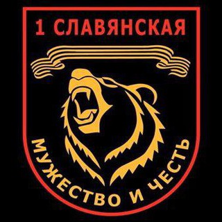Логотип телеграм канала @z9it03zm — Z 1Славянская ДНР