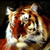 Логотип телеграм канала @z_tiger — Тигр Просто Верит