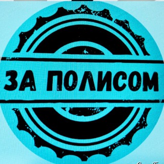 Логотип телеграм канала @za_polisom — За полисом 🚙