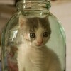 Логотип телеграм канала @za_cto_ban — За что меня забанили у Машковой?