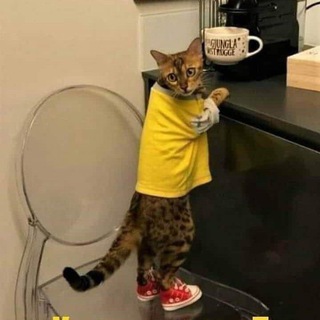 Логотип телеграм канала @zabava_givotnye — ЭТИ ЗАБАВНЫЕ ЖИВОТНЫЕ