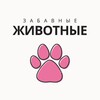 Логотип телеграм канала @zabavnie_zhivotnie — Забавные Животные