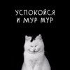 Логотип телеграм канала @zabavniemordastiki — ЗАБАВНЫЕ Мордастики 🐾 Смешные видео/картинки 🔥