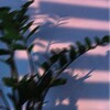 Логотип телеграм канала @zabbotaa — zabbotaa 🌿 Забота о себе