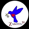 Логотип телеграм канала @zabota31 — Zабота 31
