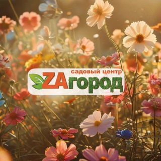 Логотип телеграм канала @zagorod_uss — Zaгород 🌿 Уссурийск