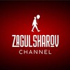 Логотип телеграм канала @zagulsharov — Zagul Sharov Сhannel
