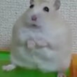 Логотип телеграм канала @zaheck — Багхантер