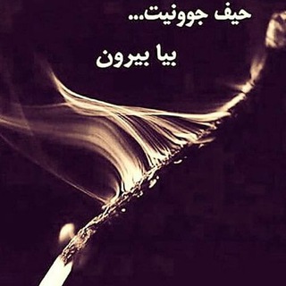 لوگوی کانال تلگرام zahreshahvat — ترک استمنا خودارضایی