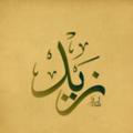 لوگوی کانال تلگرام zaidmahmood1 — زيد محمود-zaid mahmood