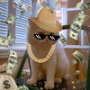 Логотип телеграм канала @zakirob28 — ДОСКА ОБЪЯВЛЕНИЙ.