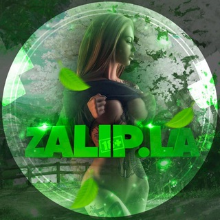 Логотип телеграм канала @zalip_la — ZALIP.LA