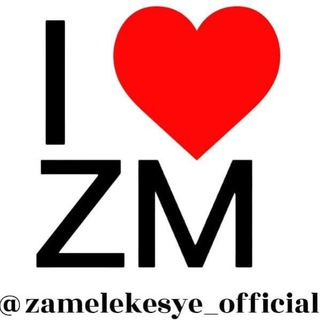 Логотип телеграм канала @zamelekesye — Замелекесье #ZM