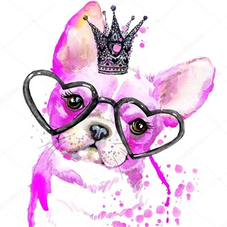 Логотип телеграм канала @zameri_odegdi — Замеры одежды и водеообзоры