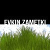 Telegram channel 🇺🇦 Evkin Zametki | Все про світ Крипти logo
