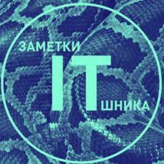 Логотип телеграм канала @zametkiitshnikatop — Заметки IT-шника
