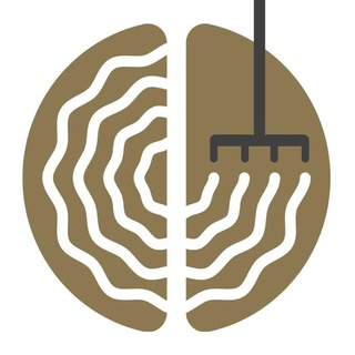 Логотип телеграм канала @zamozgom — Уход за мозгом