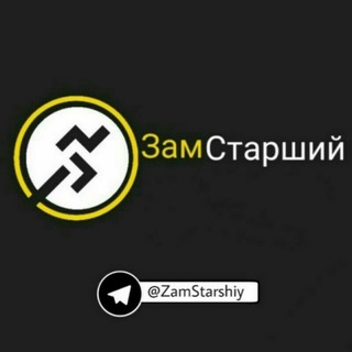 Telegram kanalining logotibi zamstarshiy — ЗамСтарший 🐝