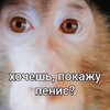 Логотип телеграм канала @zanosimpruvv — Заносной не школьник