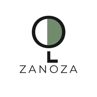 Логотип телеграм канала @zanozavn — Zanoza